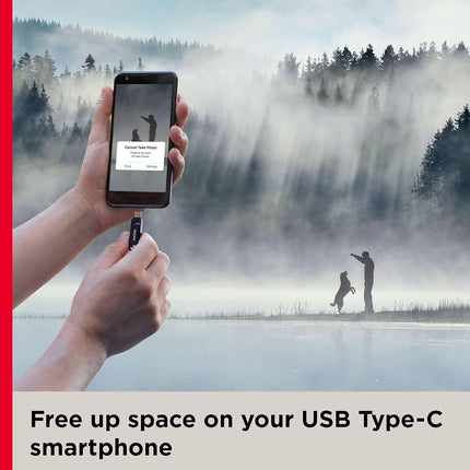 SanDisk Ultra Dual Drive Go USB flash drive 64 GB USB Type-A / USB Type-C 3.2 Gen 1 (3.1 Gen 1) Black