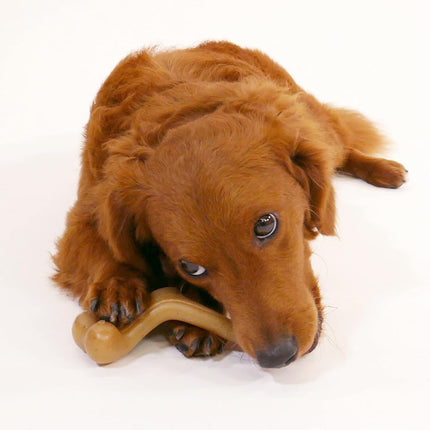 Nylabone Gourmet Style Strong Chew Wishbone Dog Toy Chicken Small/Regular (1 Count)