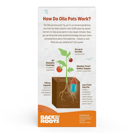 Back to The Roots Self-Watering Terracotta Olla Pot (Pack of 3), 700mL Provides 1 Week of Precision Watering