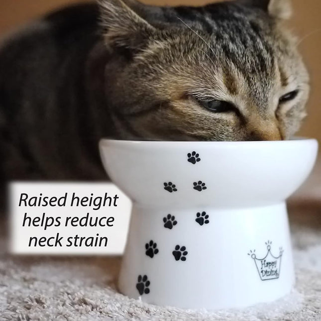 Necoichi Raised Cat Food and Water Bowl Set (Cat)
