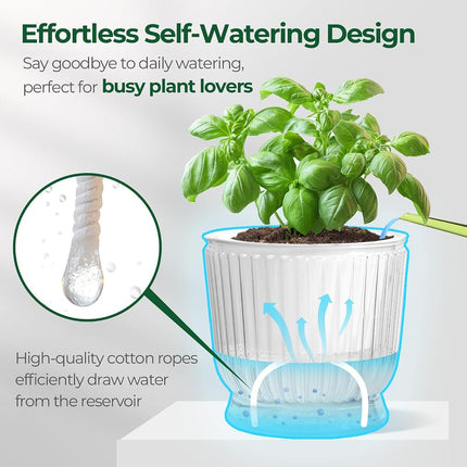 T4U Self Watering Planter, 6 Inch Orchid Pot for Plant Indoor Outdoor, Plastic Self Watering Pots with Deep Reservoir, Plant Pots for All House Plants, Flowers, African Violets, 4 Pack,Transparent