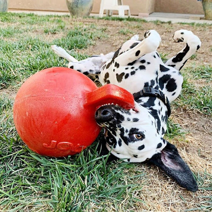 Jolly Pets Tug-n-Toss Dog Toy, 10 cm, Red