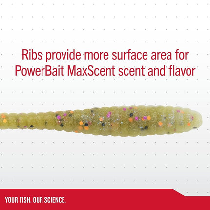 Berkley PowerBait MaxScent Fishing Soft Bait, Green Pumpkin/Watermelon, 4 1/4"
