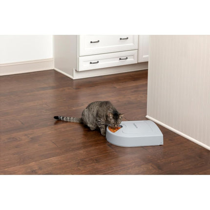 PetSafe 5 Meal Automatic Dog and Cat Feeder, Dispenses Dog Food or cat Food, Digital Clock