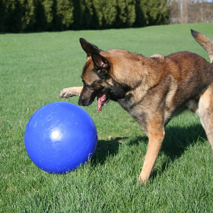 Jolly Pets Push-n-Play Dog Toy, 25 cm, Blue