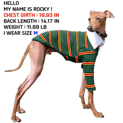 D Doggy Star Italian Greyhound Clothes Collared Stretchy T Shirts Whippet for Dogs (XL,Collared Green)
