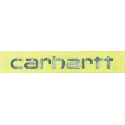 Carhartt Pet Durable Nylon Duck Leashes for Dogs, Reflective Stitching for Visibility, Brite Lime, Large