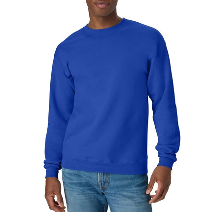Hanes Men's EcoSmart Fleece, Cotton-Blend Pullover, Crewneck Sweatshirt, 1 Or 2 Pack Available, Deep Royal-1 Pack, 4XL