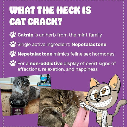 Cat Crack Organic Catnip, Premium Safe Nip Blend, Infused with Maximum Potency Your Kitty Will be Guaranteed to Go Crazy for! (1 Cup)