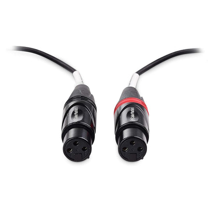 3.5mm TRS to Dual Female XLR Breakout Cable - 10 Feet