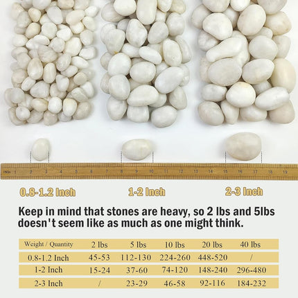 FANTIAN Natural Polished White Pebbles - Smooth Small River Rocks for Plants, Aquariums, Vase Fillers and Fairy Garden (5, Medium)