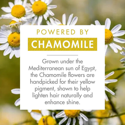 Klorane Brightening Conditioner with Chamomile for Blonde Hair, 200ml Bottle