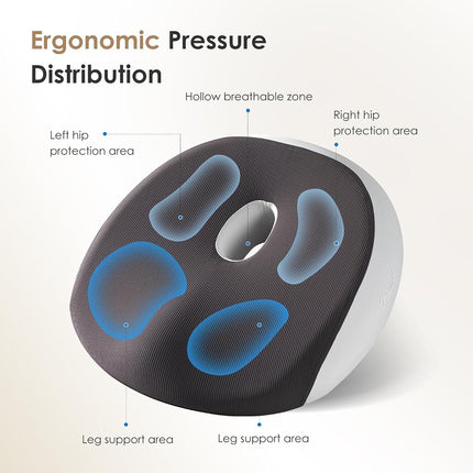 FLORICH Seat Cushion and Lumbar Support Pillow