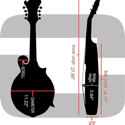 Crossrock Wooden Case, Designed for F-Style Mandolin, Wooden Hardshell, Sponge Lining, Metal Feet, Storage Space-Vinyl Tweed (CRW620MFTW)