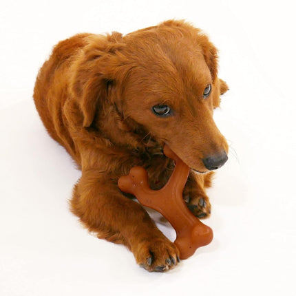 Nylabone Gourmet Style Wishbone Strong Chew Toy for Dogs, Bacon Flavor, Small - Up to 25 lbs, 1 Count