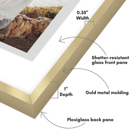 Americanflat Aluminum 11x14 Floating Picture Frame Set of 2 in Gold - Use as 11x14 Picture Frame or 8x10 Floating Frame - Photo Frame with Slim Metal Molding and Plexiglass with Hanging Hardware