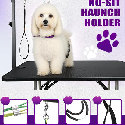 Breeze Touch Dog Grooming Arm - 35" Dog Grooming Table Arm with Clamp and Post, Loop Noose, No Sit Haunch Holder Grooming Restraint for Small & Medium Dogs