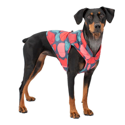 Kurgo Loft Dog Jacket - Reversible Cozy Coat for O