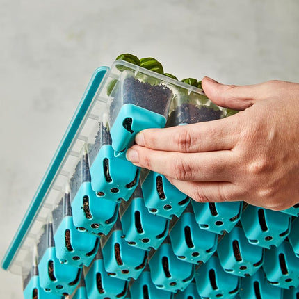 Burpee SuperSeed Seed Starting Tray | 36 Cell Reusable Seed Starter Tray | for Starting Vegetable, Flower & Herb Seeds | Indoor Grow Kit for Plant Seedlings | for Germination Success