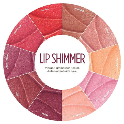 Burt's Bees 100% Natural Lip Shimmer, Fig, 2.6g