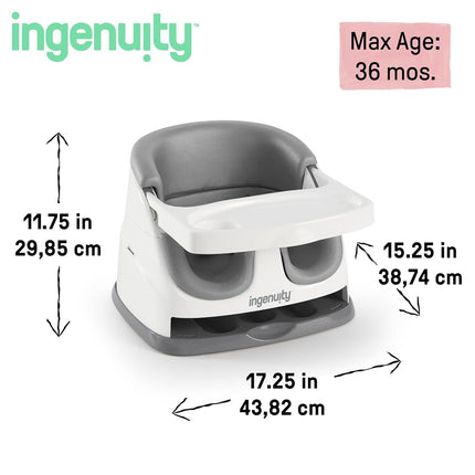 Ingenuity Baby Base 2-in-1 Seat, Slate