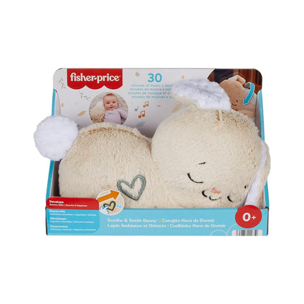 Fisher-Price Soothe & Settle Bunny Baby Toy