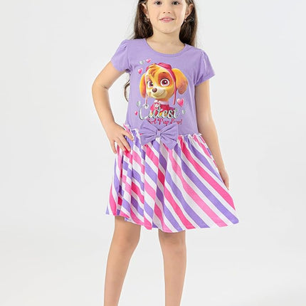 Paw Patrol Little Girls' Dresses, Pink, 4 (Pack of 2)