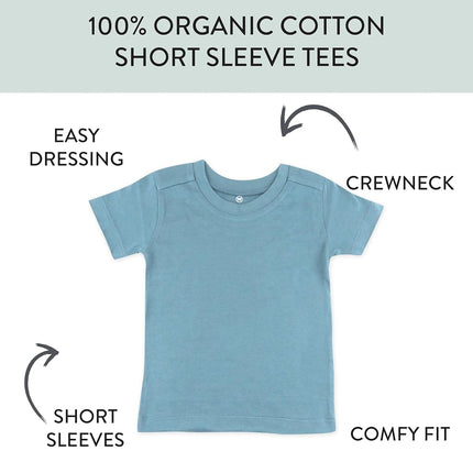 HonestBaby Multipack Short Sleeve T-Shirt Tee 100% Organic Cotton Infant Baby, Toddler, Little Kids Boys, Girls, Unisex, Sea Ombre, Newborn