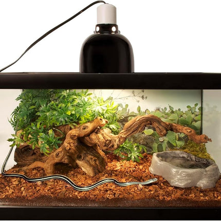 Zoo Med Reptile Bark Fir Bedding, 8 litres | Lot de 2