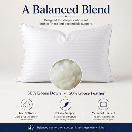 East Coast Bedding Balanced Dream Almohada de plumas de ganso 50/50, tamaño Queen, 50x75 cm, soporte medio con funda 100% algodón – Paquete individual