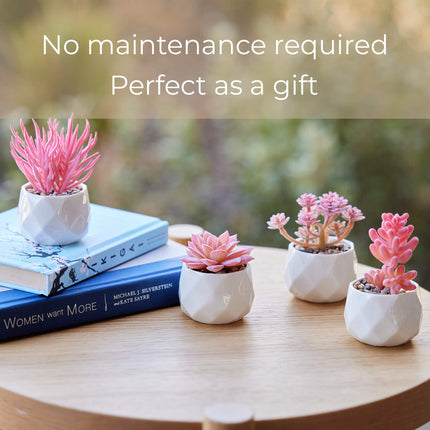 Nordik Miniature Artificial Succulent Set of Four Geometric Round White Pots - Office Decor for Women Desk, Indoor, Living Room, Home and Desk Decor – Pink Faux Succulents