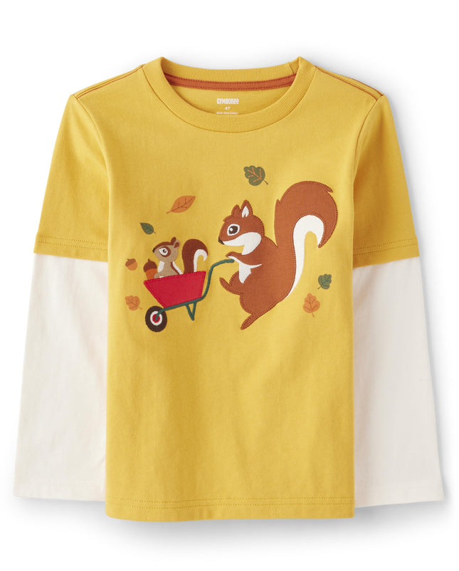 Gymboree Boys and Toddler Embroidered Graphic Long