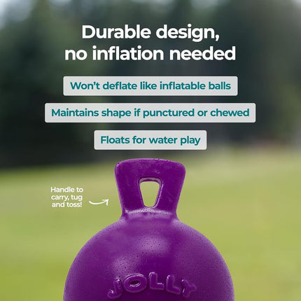 Jolly Pets 6-Inch Tug-n-Toss, Purple 406 PR