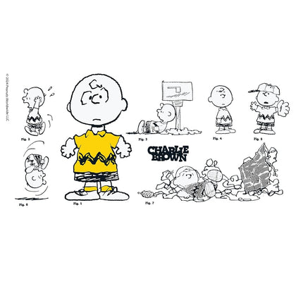Tervis Peanuts - Pals Collection Made in USA Double Walled Insulated Tumbler Travel Cup Keeps Drinks Cold & Hot, 16oz, Good Ol' Charlie Brown
