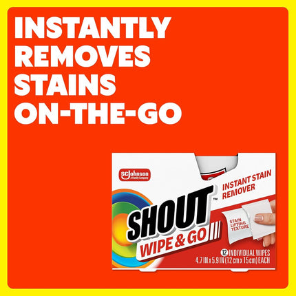 Shout Wipes, 12-Wipes (Pack of 12)