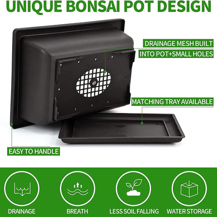 Meekear 5 Bonsai Tree Kit with Complete Plant Growing Tools, Grow in Pot Indoor Bonsai Tree Starter Kit, Home Gardening DIY Gift for Adult Green