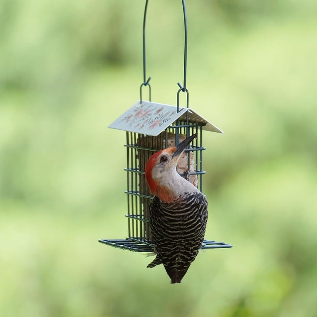 Wild Wings Decorative Metal Suet Cage Feeder for Outdoor Décor Wild Bird Feeders, 1 Suet Cake Capacity, Hanging Suet Feeder, Black