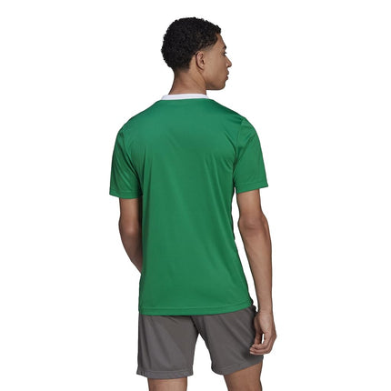adidas Men's Entrada 22 Jersey, Team Green/White, XXL