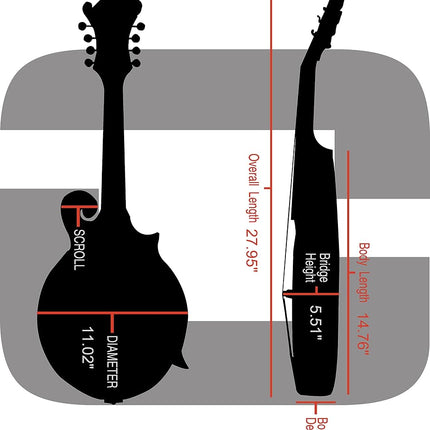 Crossrock ABS Molded Case for F-Style Mandolin with Removable Shoulder Straps-Blue (CRA862MFBL)