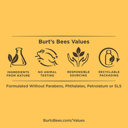 Burt’s Bees 2-in-1 Diaper Cream & Baby Powder 113g