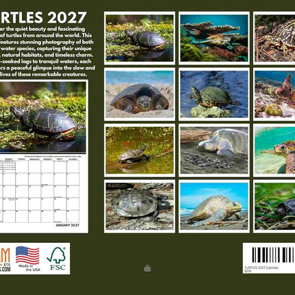 Turtle Calendar 2027 Monthly Wall Calender 12 Month