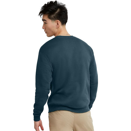 Hanes Men's EcoSmart Fleece, Cotton-Blend Pullover, Crewneck Sweatshirt, Metallic Teal 1 Pack, L