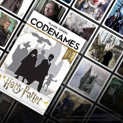 USAopoly 59579 Codenames Harry Potter Card Game, Pack of 1