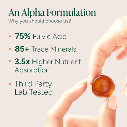 ROOT LABS 10-in-1 Alpha Shilajit Gummies | 4000 mg Pure Himalayan Shilajit, Tongkat Ali, Maca Root, 75% Fulvic Acid | ShilAbsorb Bioavailability Tech | Sugar-Free Vegan, 85+ Trace Minerals | 120 Pack