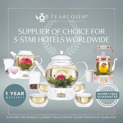 Teabloom Kyoto 2-in-1 Tea Kettle/Tea Maker – Heatproof Glass Teapot with Removable Loose Tea Filter – Tea Connoisseur's Choice