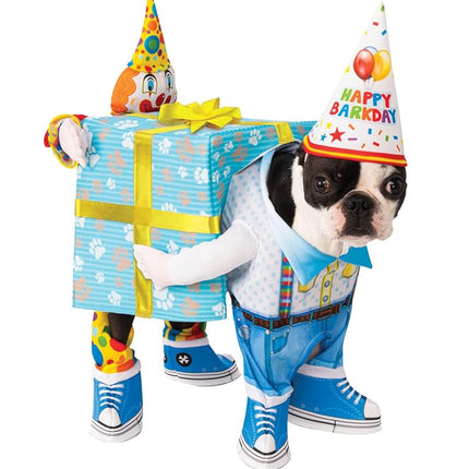 Rubies 200549LXLL000 Official Birthday Present Pet