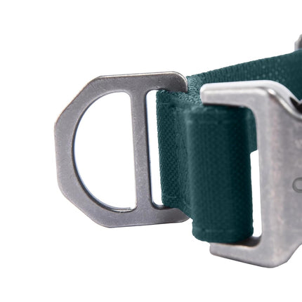Carhartt Field Dog Collar, Fully Adjustable, Durable 600-Denier Fabric W/Reflective Wordmark for Visibility, Greenstone, Large