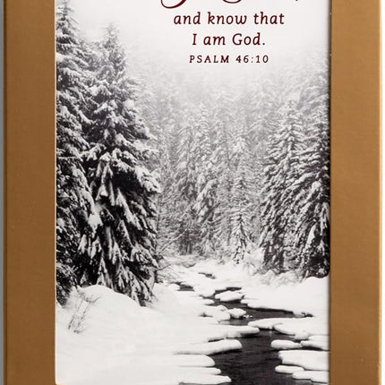 DaySpring - Black and White Christmas Classics - 60 Bulk Christmas Boxed Cards and Envelopes (U1347)