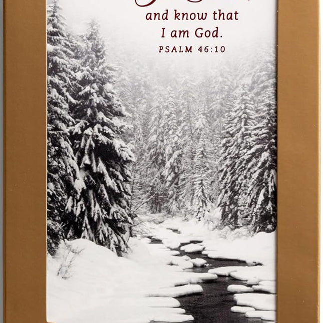 DaySpring - Black and White Christmas Classics - 60 Bulk Christmas Boxed Cards and Envelopes (U1347)