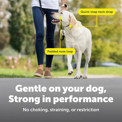 PetSafe Gentle Leader No-Pull Dog Headcollar - The Ultimate Solution to Pulling - Redirects Your Dog's Pulling For Easier Walks - Helps You Regain Control - Medium, Silver